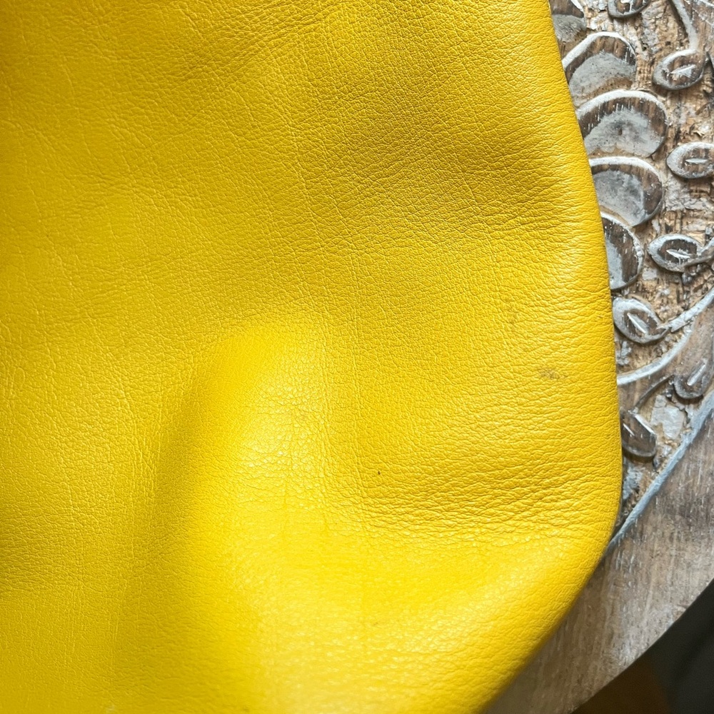 Yellow Coach - Picture 3 of 4